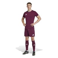 adidas Entrada 26 Shorts Herren - team maroon 2/white