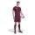 adidas Entrada 26 Shorts Herren - team maroon 2/white