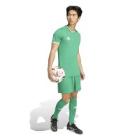 adidas Entrada 26 Shorts Herren - team green/white