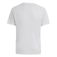 adidas Entrada 26 Trikot Kinder - team light grey/white