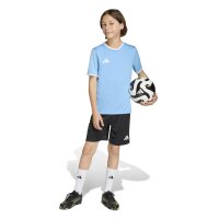 adidas Entrada 26 Trikot Kinder - team light blue/white