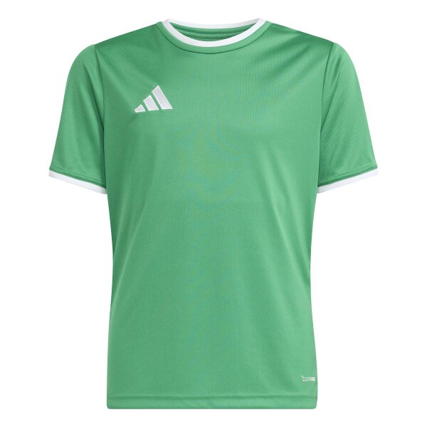 adidas Entrada 26 Trikot Kinder - team green/white