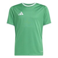 adidas Entrada 26 Trikot Kinder - team green/white