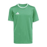 adidas Entrada 26 Trikot Kinder - team green/white