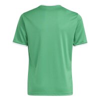adidas Entrada 26 Trikot Kinder - team green/white