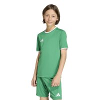 adidas Entrada 26 Trikot Kinder - team green/white