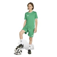adidas Entrada 26 Trikot Kinder - team green/white