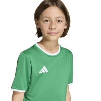 adidas Entrada 26 Trikot Kinder - team green/white
