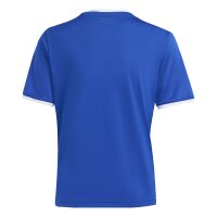 adidas Entrada 26 Trikot Kinder - team royal blue/white