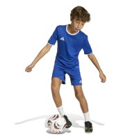 adidas Entrada 26 Shorts Kinder - team royal blue/white