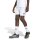 adidas Entrada 26 Shorts Kinder - white/black