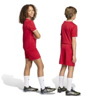adidas Entrada 26 Shorts Kinder - team power red 2/white