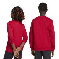 adidas Entrada 26 Kids Sweatshirt Kinder - team power red 2/white