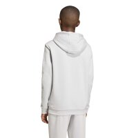 adidas Entrada 26 Hoodie Kinder - team light grey/white