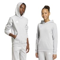 adidas Entrada 26 Hoodie Kinder - team light grey/white