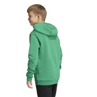 adidas Entrada 26 Hoodie Kinder - team green/white
