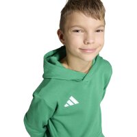 adidas Entrada 26 Hoodie Kinder - team green/white