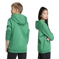 adidas Entrada 26 Hoodie Kinder - team green/white