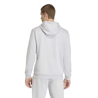 adidas Entrada 26 Hoodie Herren - team light grey/white