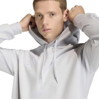 adidas Entrada 26 Hoodie Herren - team light grey/white