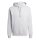 adidas Entrada 26 Hoodie Herren - team light grey/white
