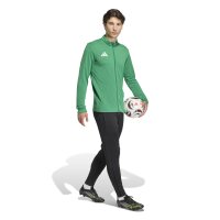 adidas Entrada 26 Originals Jacke Herren - team green/white