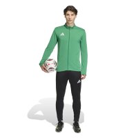 adidas Entrada 26 Originals Jacke Herren - team green/white