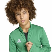 adidas Entrada 26 Kids Track Top Kinder - team green/white