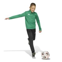 adidas Entrada 26 Kids Trainingsoberteil Kinder - team green/white
