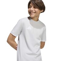 adidas Entrada 26 Kids T-Shirt Kinder - team light grey/white