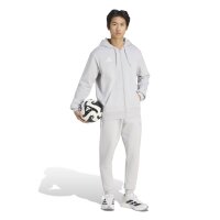 adidas Entrada 26 Jogginghose Herren - team light grey/white