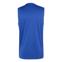 adidas Ärmelloses Entrada 26 Trikot Herren - team...