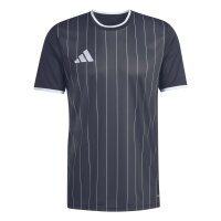 adidas Entrada 26 Grafik-Trikot Herren - black/white