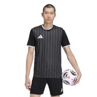 adidas Entrada 26 Grafik-Trikot Herren - black/white