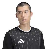 adidas Entrada 26 Grafik-Trikot Herren - black/white