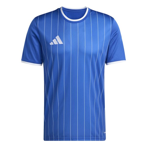 adidas Entrada 26 Grafik-Trikot Herren - team royal blue/white