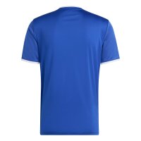 adidas Entrada 26 Grafik-Trikot Herren - team royal...