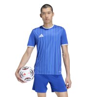 adidas Entrada 26 Grafik-Trikot Herren - team royal blue/white