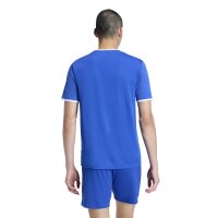 adidas Entrada 26 Grafik-Trikot Herren - team royal blue/white