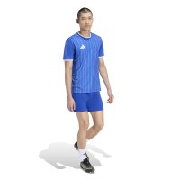 adidas Entrada 26 Grafik-Trikot Herren - team royal blue/white