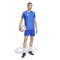 adidas Entrada 26 Grafik-Trikot Herren - team royal blue/white