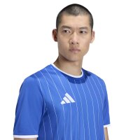 adidas Entrada 26 Grafik-Trikot Herren - team royal blue/white