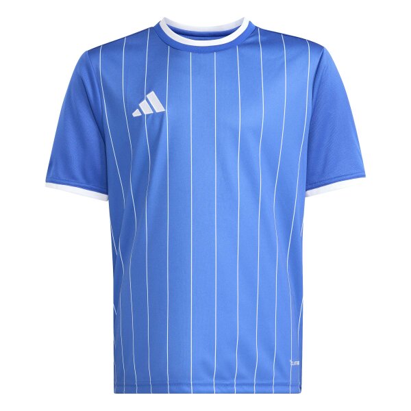 adidas Entrada 26 Grafik-Trikot Kinder - team royal blue/white