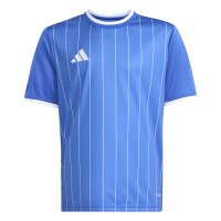 adidas Entrada 26 Grafik-Trikot Kinder - team royal...