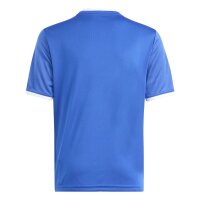 adidas Entrada 26 Grafik-Trikot Kinder - team royal...