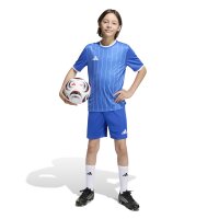 adidas Entrada 26 Grafik-Trikot Kinder - team royal blue/white