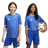 adidas Entrada 26 Grafik-Trikot Kinder - team royal blue/white