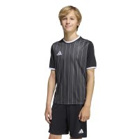 adidas Entrada 26 Grafik-Trikot Kinder - black/white