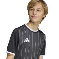 adidas Entrada 26 Grafik-Trikot Kinder - black/white