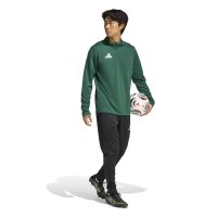 adidas Entrada 26 Trainingsoberteil Herren - team dark green/white